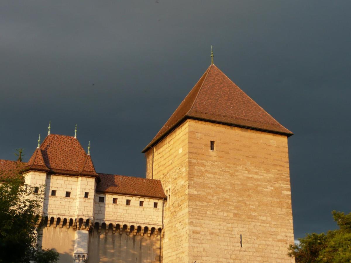 Appartement Dans La Vieille Ville, En Face Du Chateau Annecy Dış mekan fotoğraf