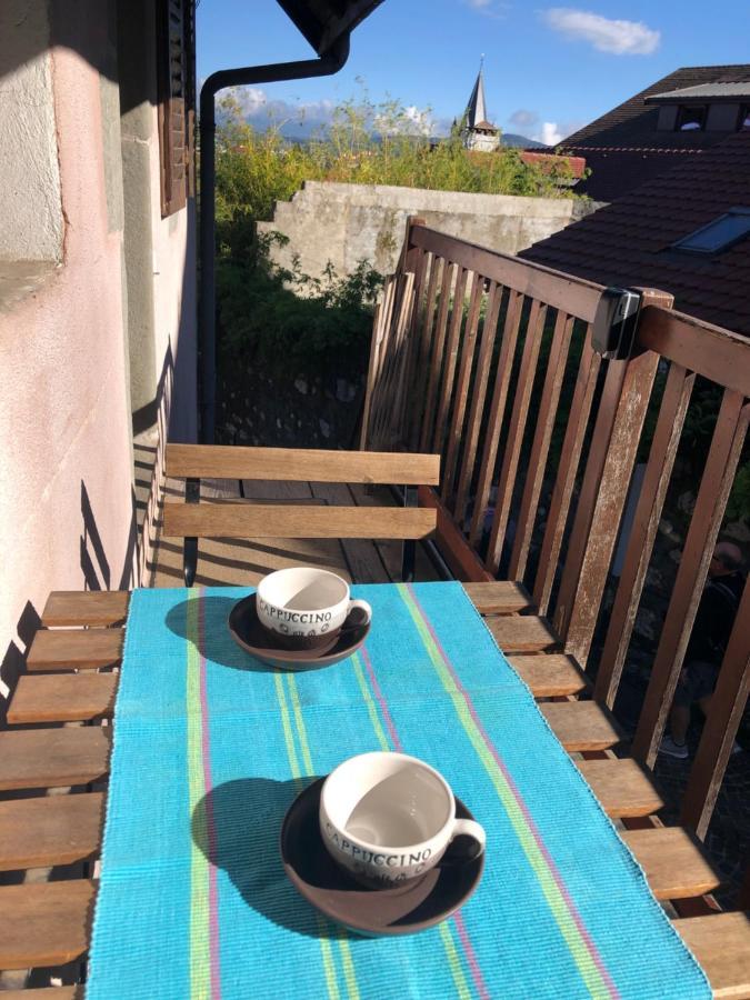 Appartement Dans La Vieille Ville, En Face Du Chateau Annecy Dış mekan fotoğraf